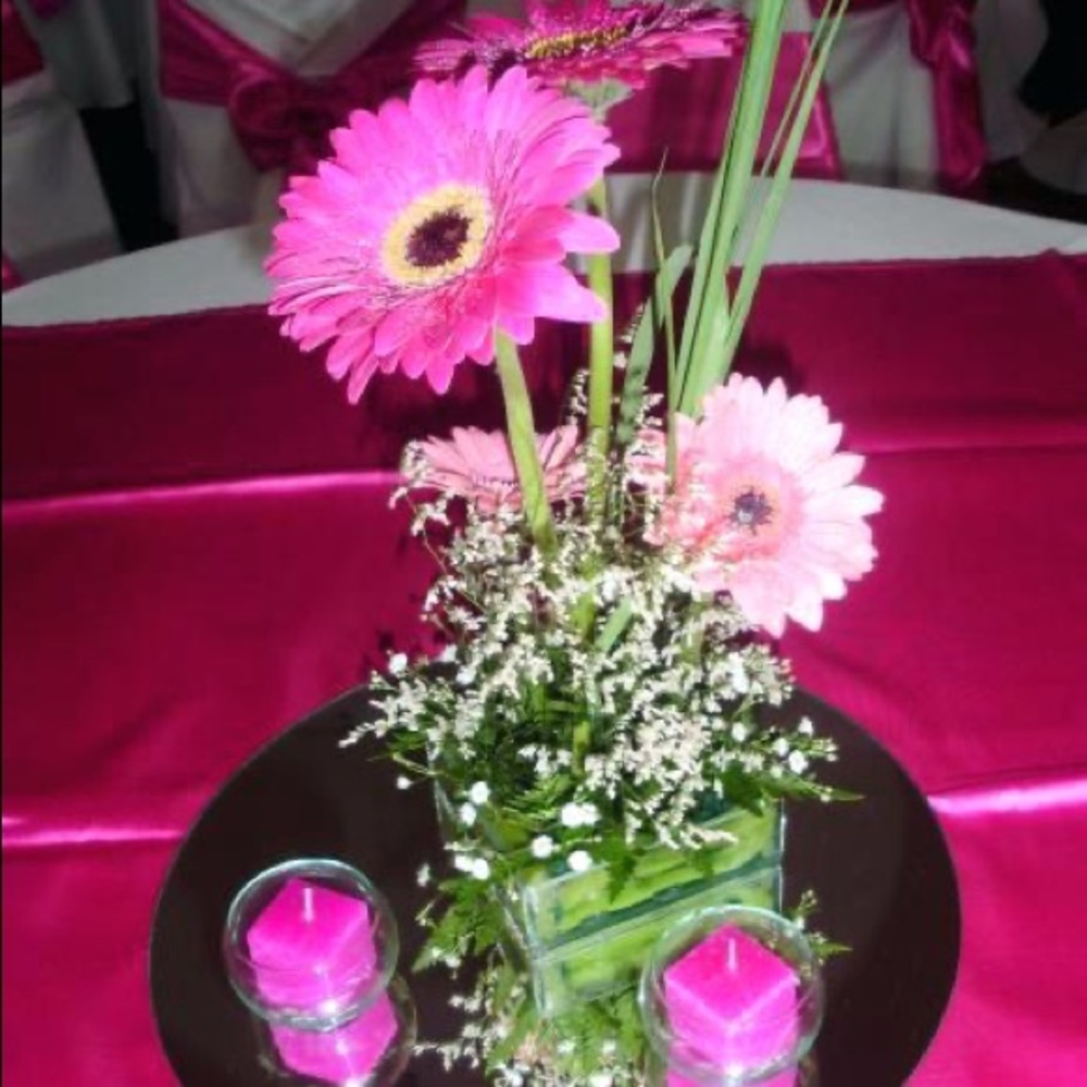 Meet your Posher, Filomena